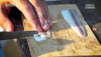 Pesca al vuelo - Nuevo estreno de Técnicas y Tutoriales con Pablo Gonzalez