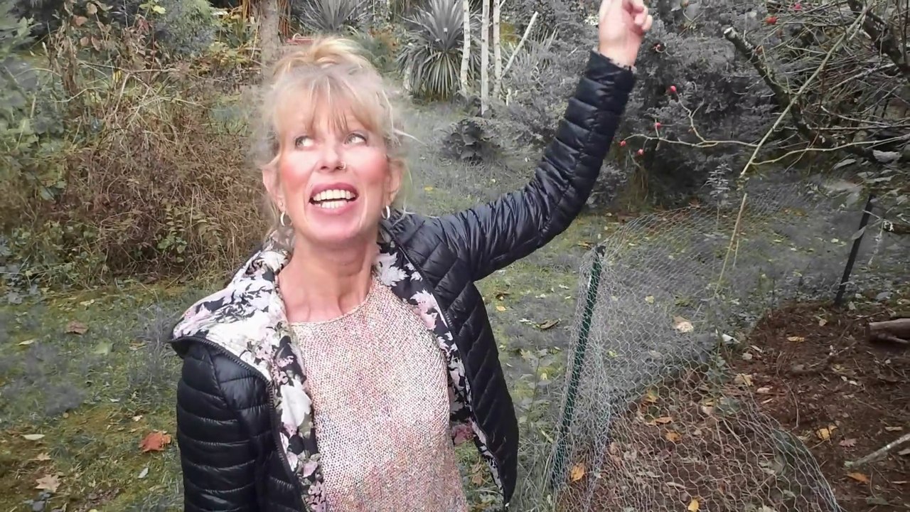 B7 - Feinde und Schutz der Hühner