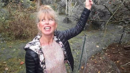 B7 - Feinde und Schutz der Hühner