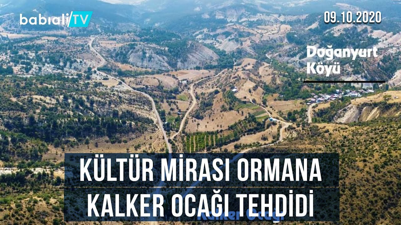 KÜLTÜR MİRASI ORMANA, KALKER OCAĞI TEHDİDİ