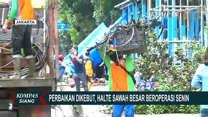 Perbaikan Dikebut! Halte Transjakarta Sawah Besar Siap Beroperasi Besok!