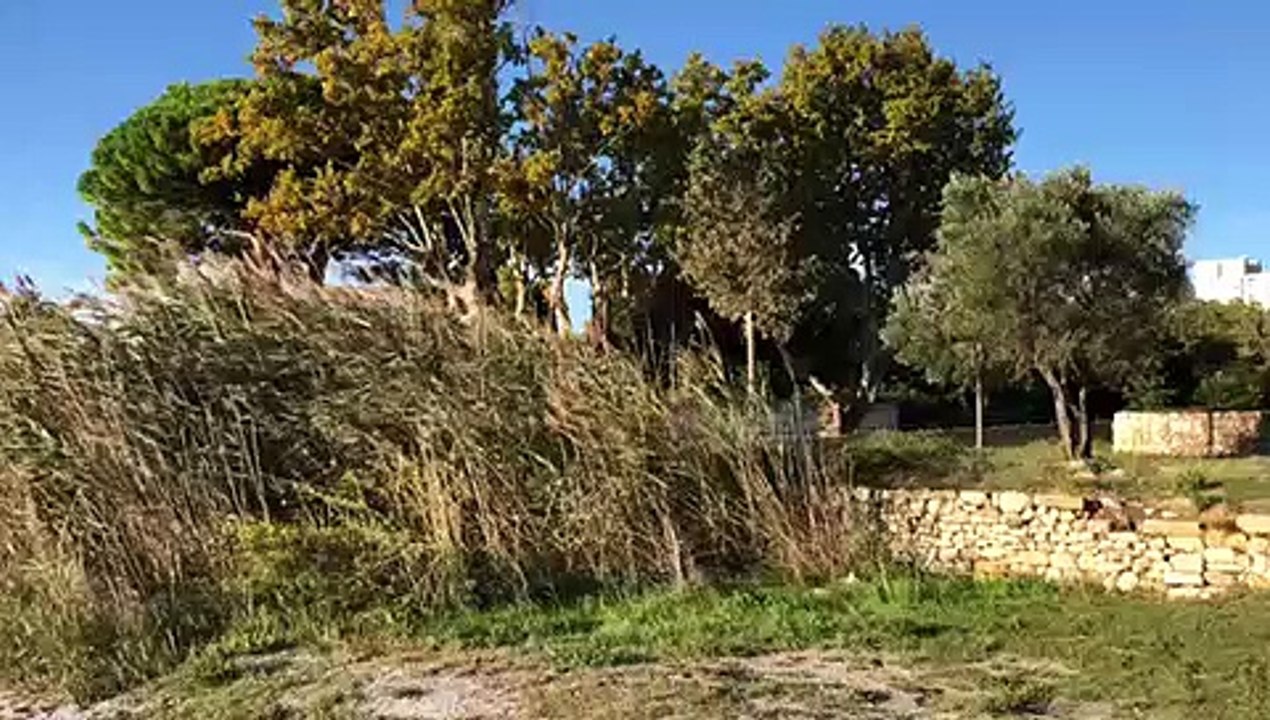 Des rafales à plus de 95km/h sur Marignane