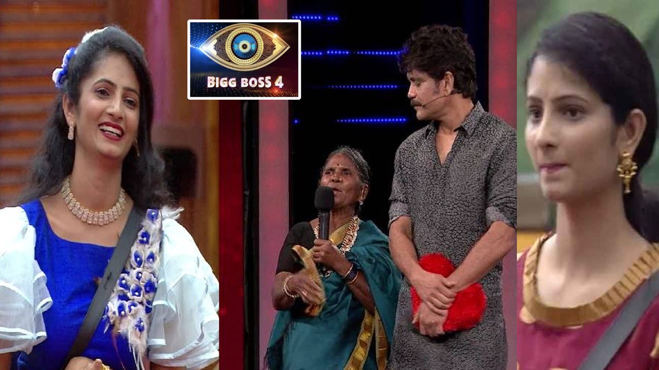 Bigg Boss Telugu 4 : జోర్దార్ సుజాత ఎలిమినేటెడ్!
