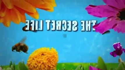 The Secret Life of the American Teenager S01E04  Caught