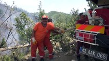 Kahramanmaraş'taki yangınlarda 65 hektar orman alanı zarar gördü