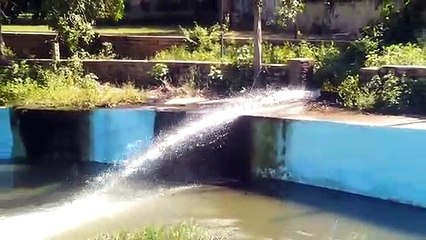 लापरवाही से व्यर्थ बह रहा पानी...