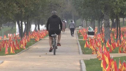 Download Video: Plantan en Sevilla miles de banderas de España en homenaje a las víctimas de la COVID-19