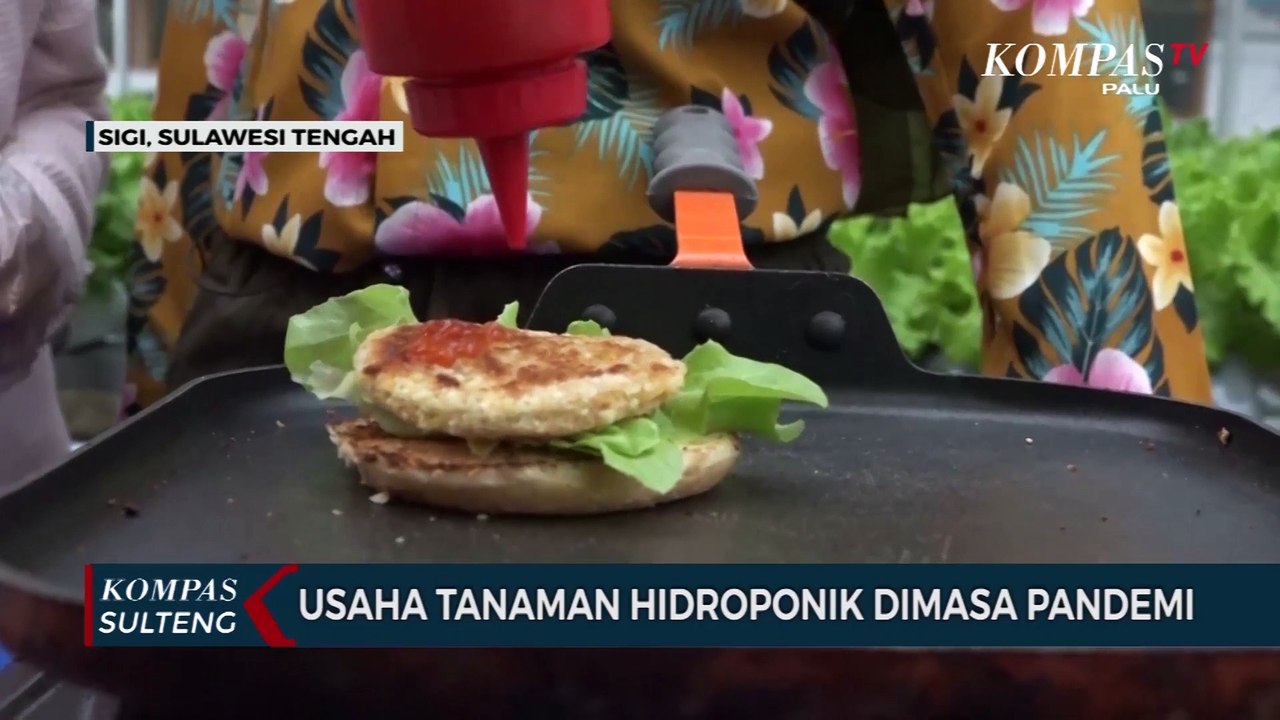 Usaha Tanaman Hidroponik Dimasa Pandemi