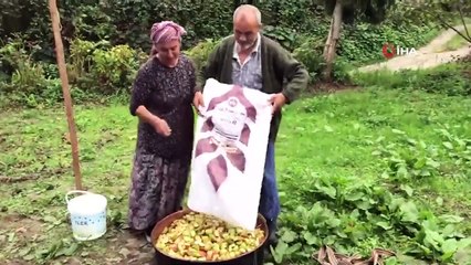 Giresun’da elma pekmezi mesaisi başladı