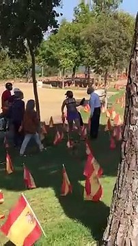Asi se defienden los patriotas de la izquierda rabiosa que pretende quitar las banderas de España en Sevilla