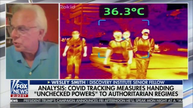 Laura Ingrahm, Entering The Era Of Permanent Pandemic And Lockdown