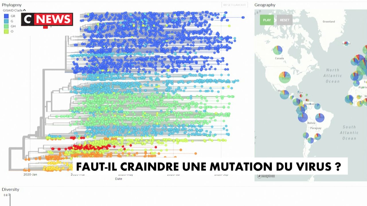 Faut-il craindre une mutation du virus ?