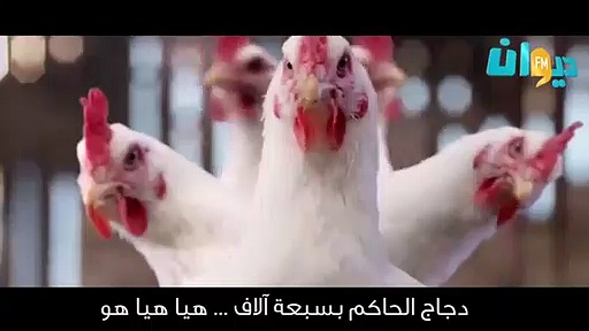 Dancing Chicken Song - أغنية الدجاجة الراقصة - فيديو Dailymotion