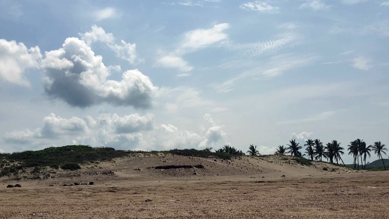 clouds-in-the-sky-over-beach-palms- natural beautiful royalty Free Stock no copyright video Free for commercial use dron dron aerial view