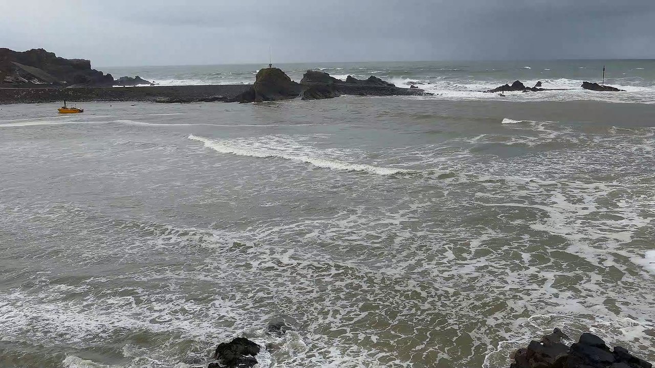 Coast Aerial shot over a sandy coastline natural beautiful royalty Free Stock no copyright video Free for commercial use dron dron aerial view