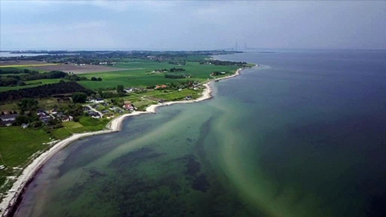 Coastline Denmark Storebælt Aerial shot over a sandy coastline natural beautiful royalty Free Stock no copyright video Free for commercial use dron dron aerial view