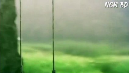 Mad Love - Ringtone || Play Date || NCM BD || No Copyright Music