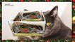 3D Cat health tips l Cats and plastic bags l Pets and animals