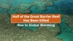 Losing The Great Barrier Reef