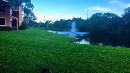 Moises Pereira | RESUMO DO PLANO DIVINO  - PARTE 1