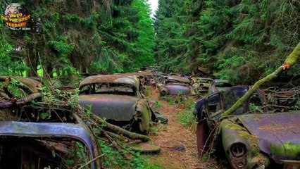 70 Tahun Terjebak Di Tengah Hutan, isi Dalam Ribuan Mobil ini Bikin Merinding..