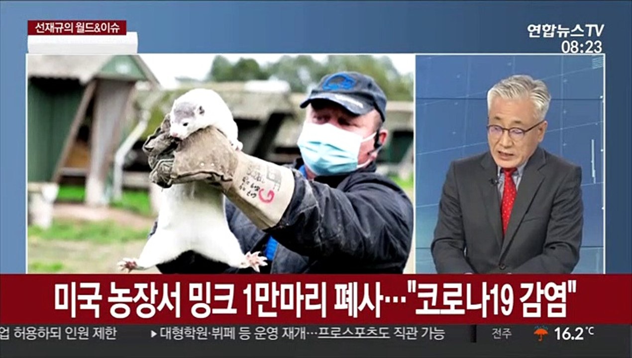 [월드&이슈] WHO "코로나19 신규 확진자 35만 명"…또 최고치 경신 外