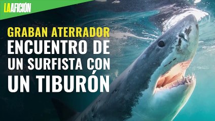 Graban aterrador encuentro de un surfista con un tiburón