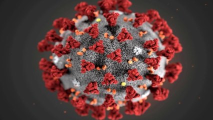 Scientists investigate possible coronavirus mutation in Chile