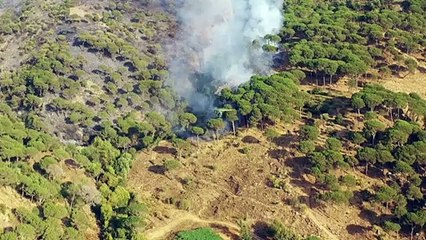 السلطات تعلن السيطرة على الحرائق في سوريا لبنان