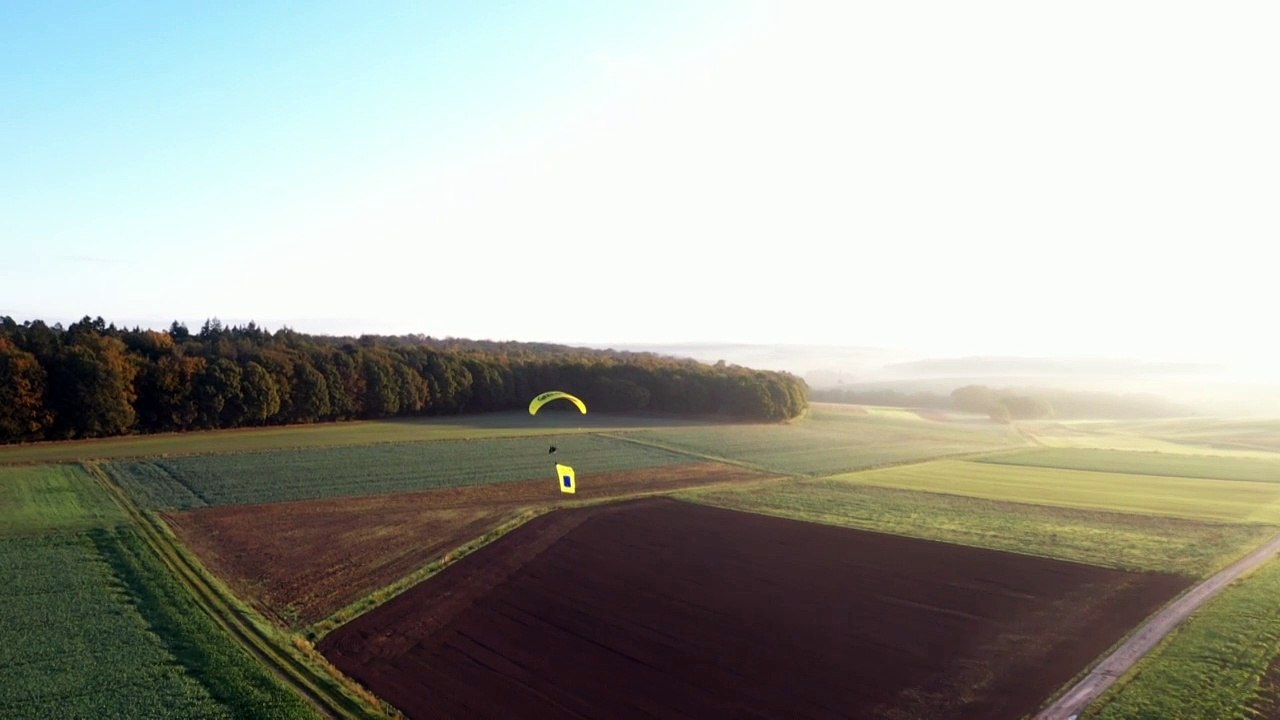 Weiterbau der A49: Greenpeace protestiert gegen Waldrodung