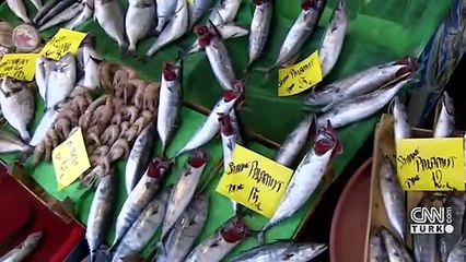 Hamsinin fiyatı bir haftada 10 lira arttı | Video
