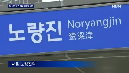 한밤중 담 넘어 철로 들어간 고등학생 KTX에 치여 부상…주말 사건사고