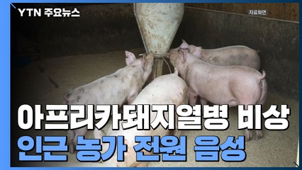 아프리카돼지열병 재확산 비상...접경지 인근 농가 전원 음성 / YTN