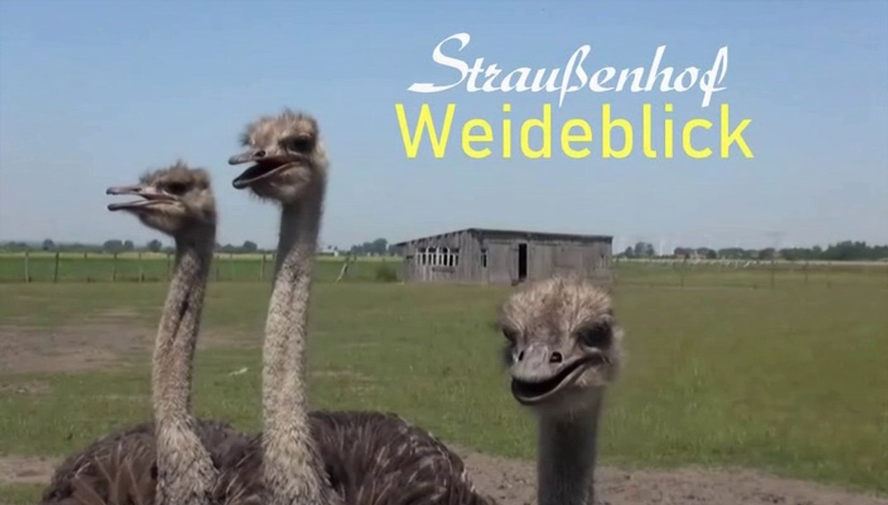 Straußenhof  "Weideblick"