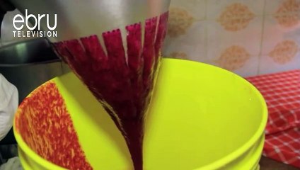 Harnessing The Nutritional Value Of Cactus