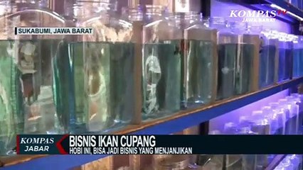 Video herunterladen: Hobi Ini, Bisa Jadi Bisnis Yang Menjanjikan