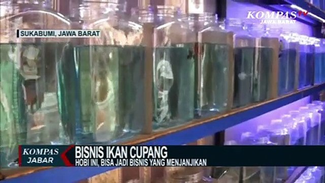 Hobi Ini, Bisa Jadi Bisnis Yang Menjanjikan