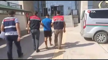 'Sazan sarmalı' yöntemiyle 51 vatandaşı dolandırdılar