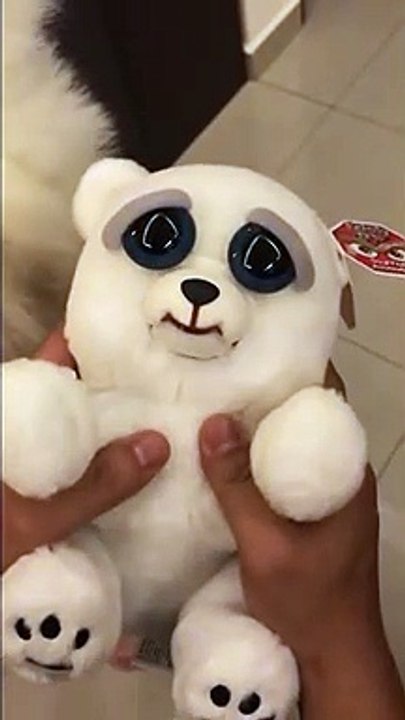 cute or terrifying
