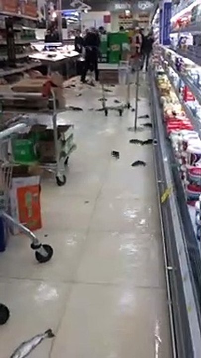 fish at the supermarket
