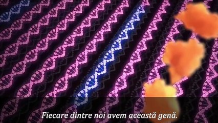 Gene Dinamice - Comorile din ADN ul nostru
