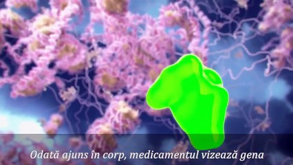 Gene Dinamice - Comutatoarele ADN