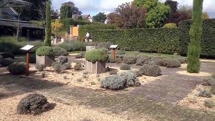 buckfast abbey gardens