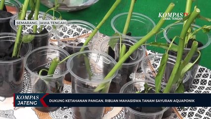 Dukung Ketahanan Pangan, Ribuan Mahasiswa Tanam Sayuran Aquaponik