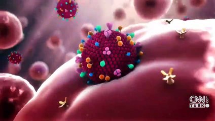 Son dakika haberleri... Virüsün para üzerinde 28 gün yaşadığı ortaya çıktı | Video