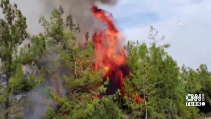 Osmaniye'de yangın paniği! Alevler evlere de ulaştı | Video