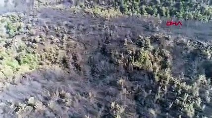 Hatay'da yanan alanlar havadan görüntülendi