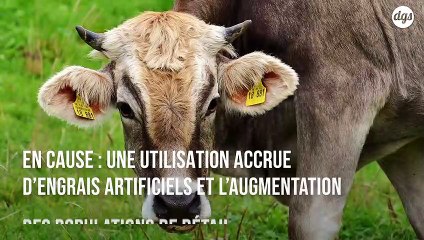 Ce gaz à effet de serre 300 fois plus réchauffant que le CO2 inquiète les scientifiques