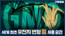 [구루마블] 세계 최초! 유전자변형(GMO) 밀 상용화 허가한 아르헨티나 / YTN