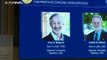 Premio Nobel de Economía 2020 a Paul R. Milgrom y Robert B. Wilson por su teoría de subastas